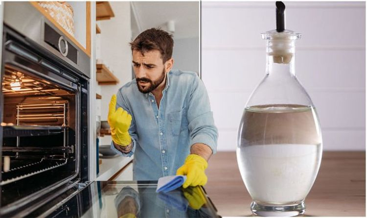 Can Using Vinegar to Clean Dishwasher Actually Prevent Limescale?